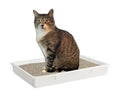 Central Exclusive Plastic Open Non-Stick Litter Box, Great for Small & Large Cats - 18" x 26" x 3"