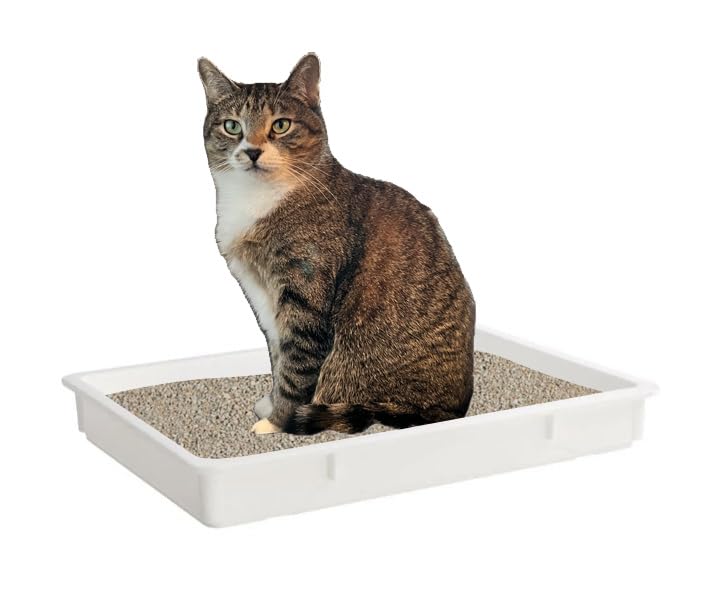 Central Exclusive Plastic Open Non-Stick Litter Box, Great for Small & Large Cats - 18" x 26" x 3"