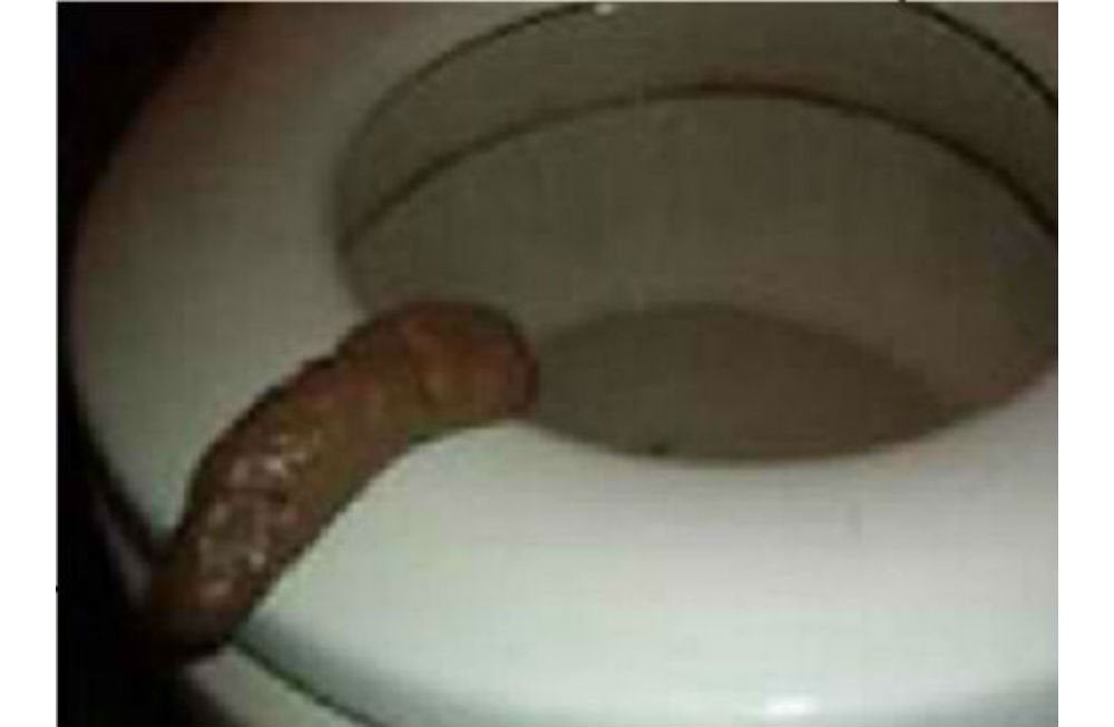 Prank Gift FAKE HUMAN POOP TURD CRAP POO Fun Gross Joke POOPER TRICK Novelty - Fake Poop - Soft Plastic/Rubber - Small - Teen, Adolescent