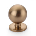 Asidrama 10 Pack Champagne Bronze Kitchen Cabinet Knobs, Cabinet Knobs Kitchen Cabinet Hardware for Cupboard Drawer Knobs Dresser Knobs