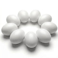 SallyFashion Wooden Fake Eggs for Nesting Boxes, 9 PCS White Easter Eggs for Craft Pretend Play Kitchen Accessories for Toddler Kids