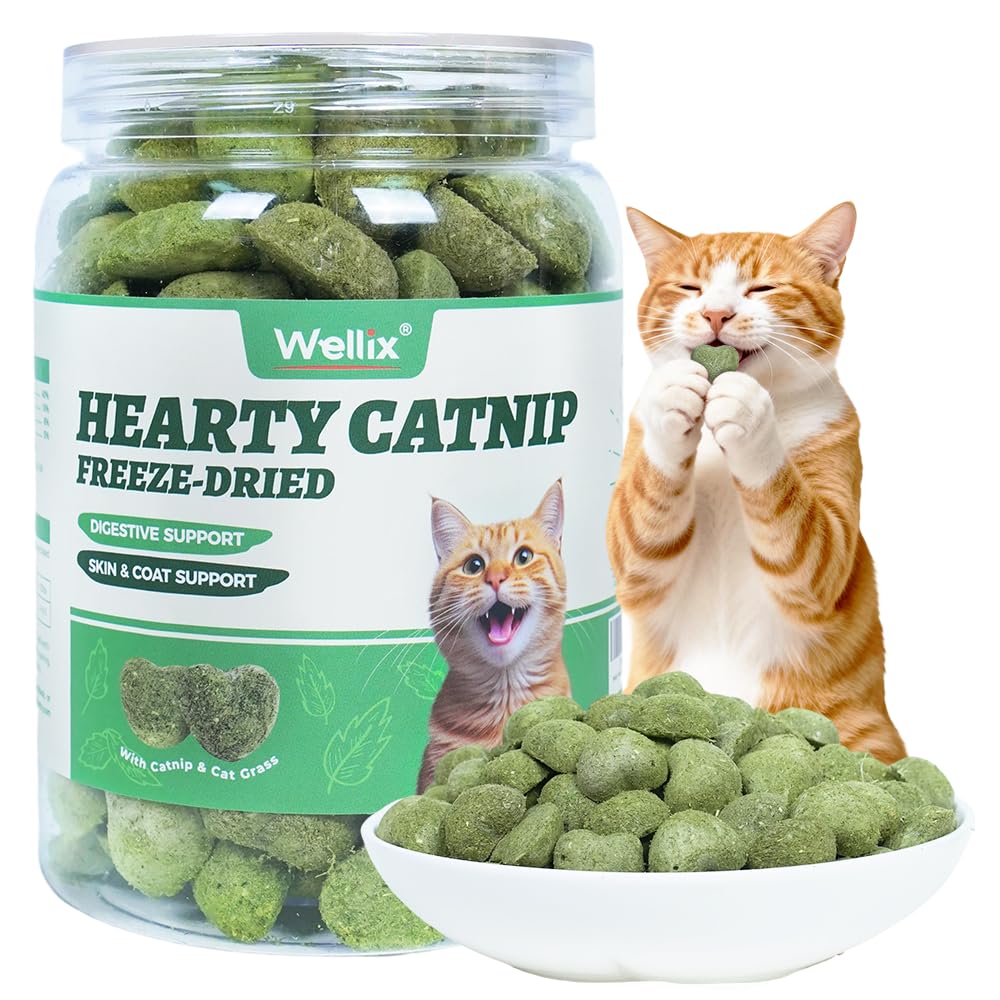 Wellix Catnip Treats Freeze-Dried Cat Treats, Grain-Free Snacks with Chicken, Cat Grass & Catnip for Cats Digestive Support Healthy Skin&Coat, Healthy Feline Training Treats for Indoor Cats, 3oz