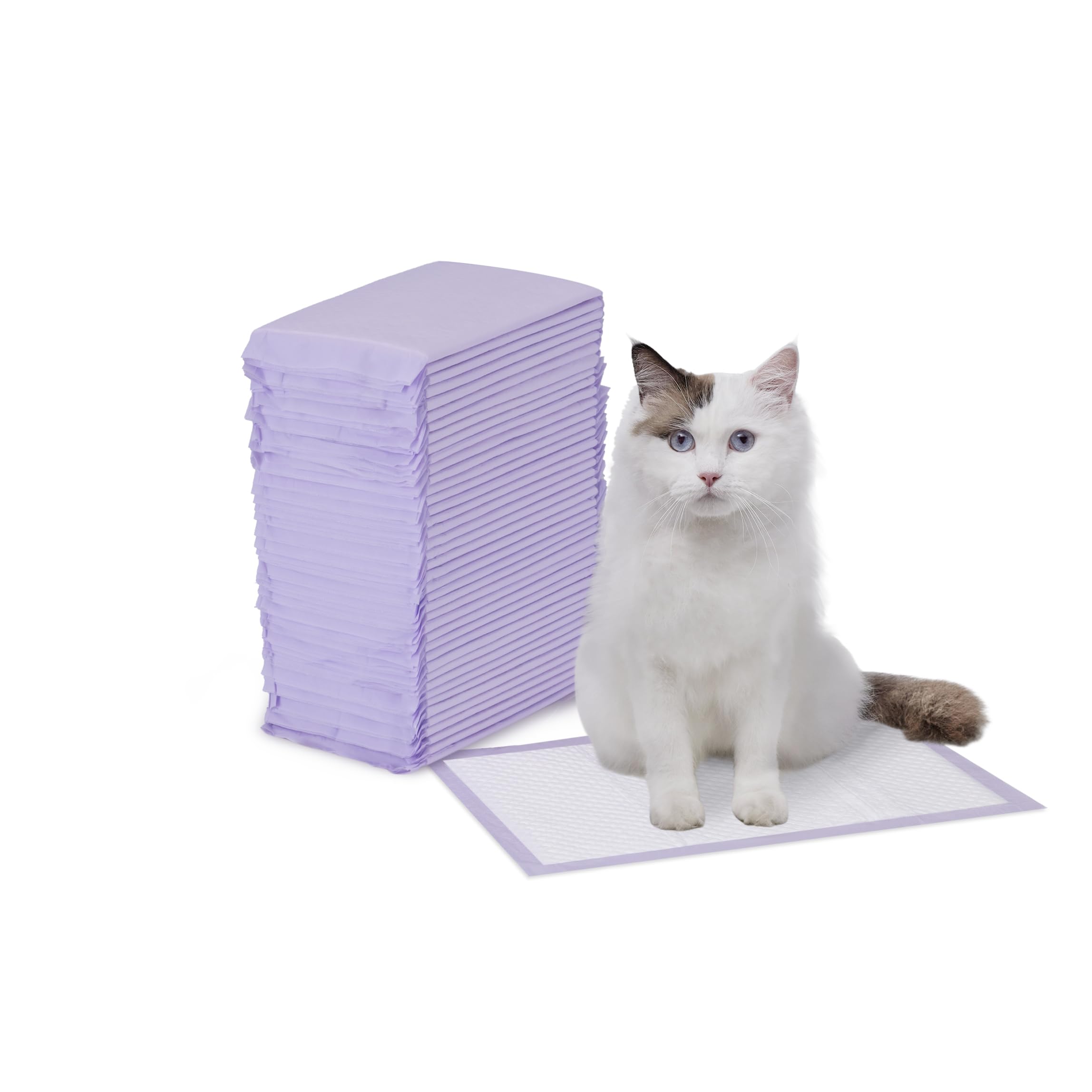 Amazon Basics Cat Litter Pee Pads, Odor Control with Fresh Scent, Super Absorbent, Disposable, Universal Fit Litter Box, Purple and White, 40 Count