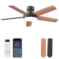AKOFUN Ceiling Fans with Lights and Remote, Low Profile Ceiling Fan with Light, 6 Speed, Dimmable, DC Motor, Quiet, Timer, Modern LED Ceiling Fan for Bedroom Living Room 44 inch, Black