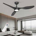 Roomratv Ceiling Fans with Lights, 52 Inch Black Ceiling Fan with Remote Control, Quiet Noiseless Reversible DC Motor 6 Speeds Timers 3 CCT Dimmable Modern Fan Light Indoor for Bedroom Living Room