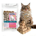 Cat Urinary Treats for Bladder Health, Chicken Flavor Grain-Free Soft Snacks, High-Protein Cat Training Rewards for Indoor Cats, Freeze-Dried Snacks 60g/2.11oz
