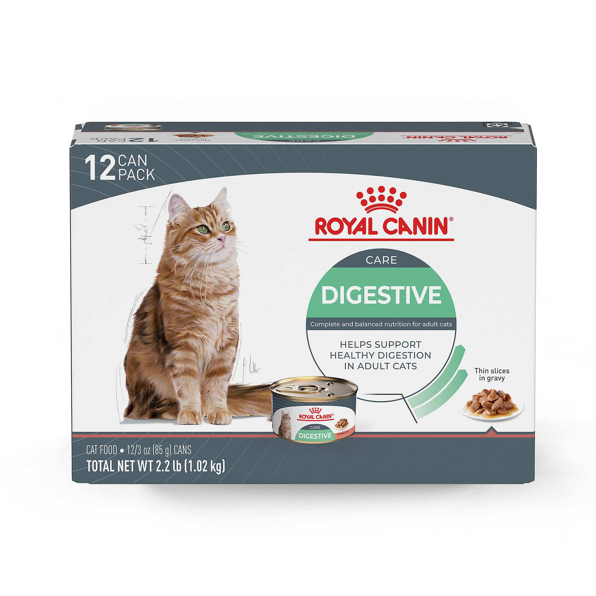 Royal Canin Feline Care Nutrition Digestive Care Adult Thin Slices in Gravy Cat Food, 3 oz (Pack of 12)