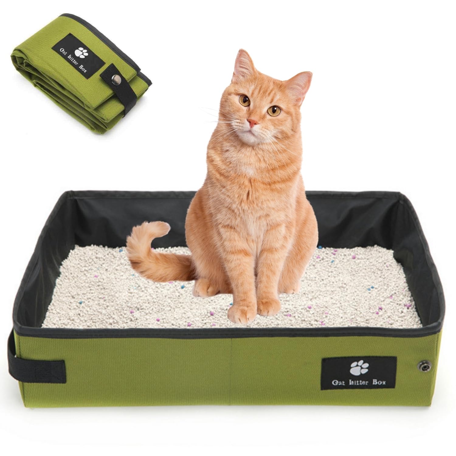 Portable Foldable Cat Litter Box - Waterproof, Leak-Proof for Outdoor Camping, Hotel Stays, Road Trips - Travel Essentials for Cats & Kittens (Green, Large)