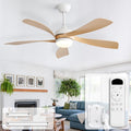 CACI Mall 52 Inch Ceiling Fans with Lights and Remote, modern, Outdoor ceiling fan with 6-Speed, 5 Blades, 2 Downrods, 3 CCT, Timer, Quiet Reversible DC Motor for Living Room, Bedroom, Patios