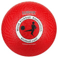 WAKA Official Kickball - Adult 10