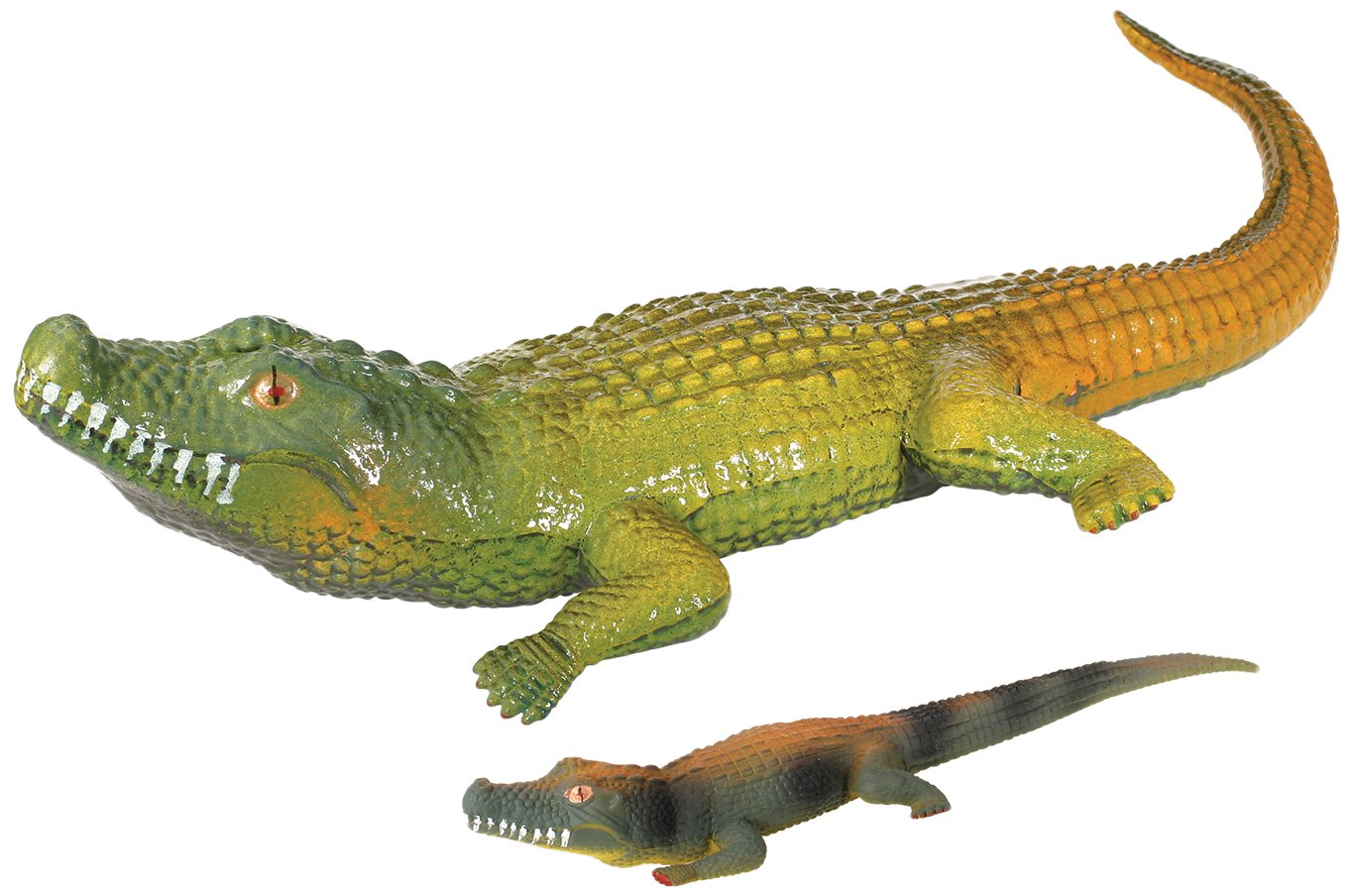 Toysmith 8603 Ginormous Grow Crocodile, 32-Inches, Assorted Colors