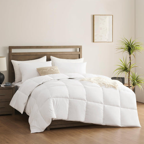 Bedding Comforters