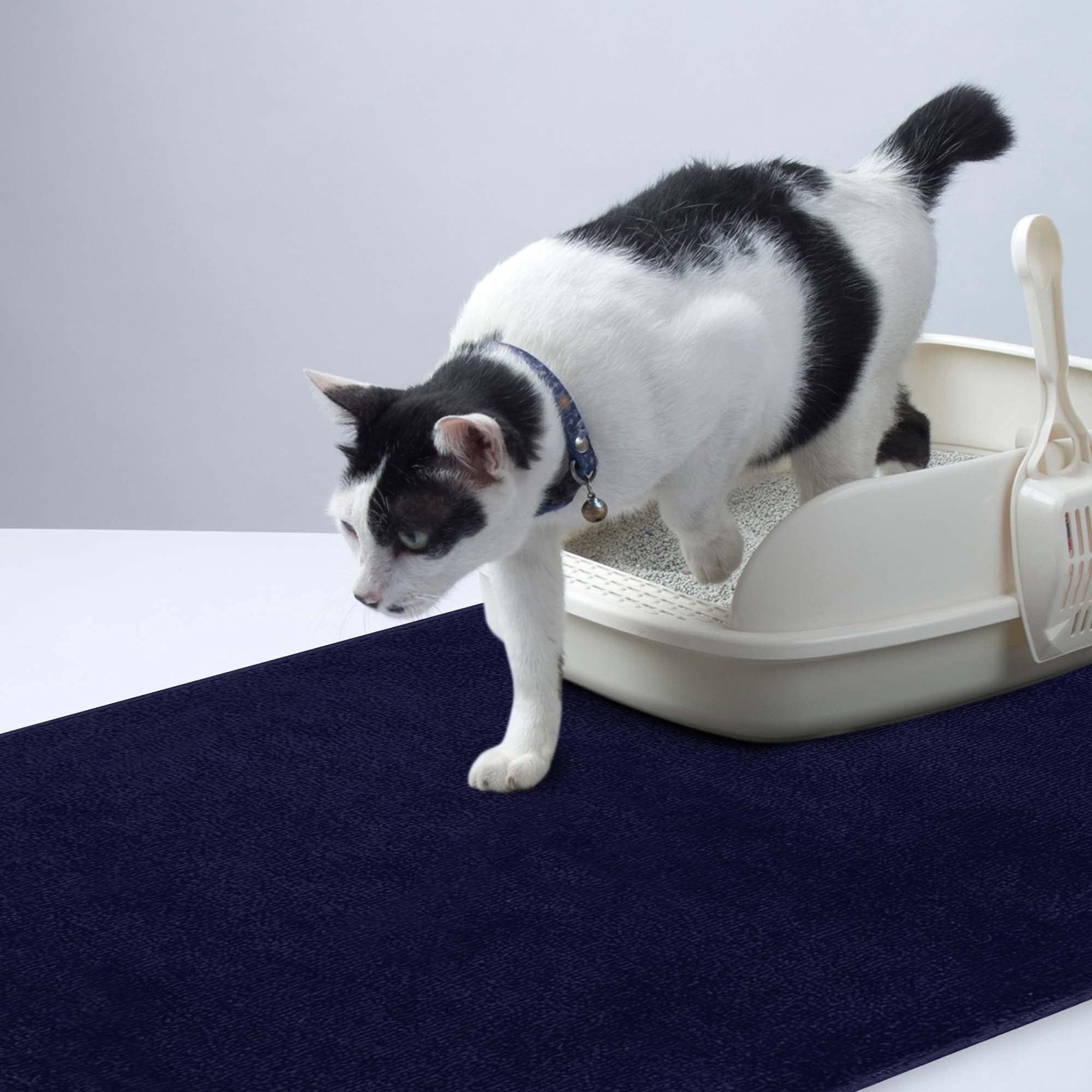 SussexHome Pets Cat and Dog Litter Mat for Litter Box - Washable Soft Cat and Dog Feeding Mat - Paws-Kind Slip Resistant Place Mat - 2' x 3'