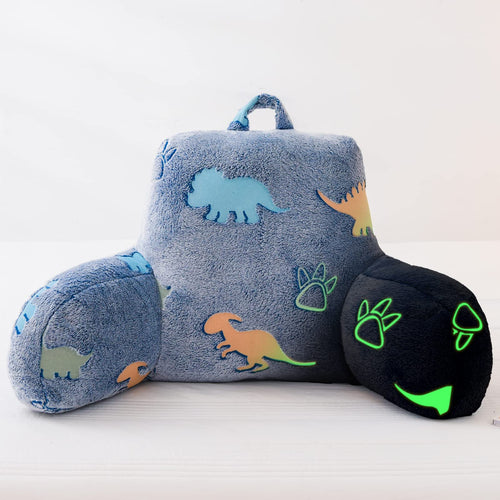 Bed Pillows & Positioners