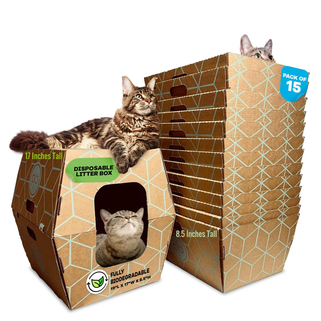 Tallest Disposable Cat Litter Box 15-Pack - Extra Tall High-Sided at 8.5 inches per Tray, Low Entry, Leak-Resistant, Large 19x17x17-Portable, No Cleaning, Travel, Kittens & Senior Cats