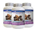 cat Itchy Skin - Immune Support for Cats - Healthy Immune Response - Vet Recommended - Milk Thistle Powder for Cats - 3 Bottles (180 Chewable Tablets)