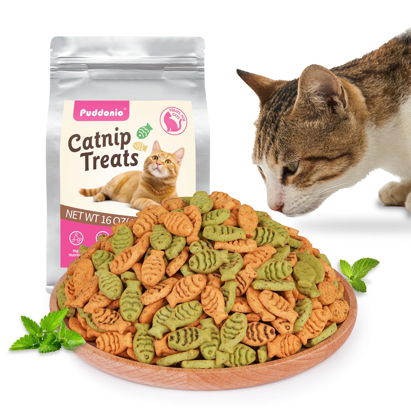 Catnip Cat Treats, Chicken & Salmon Flavor Crunchy Cat Biscuits, Fish-Shaped Training Snacks for Adult Cats, 16 oz