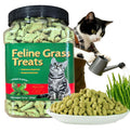 UBIETY 13.5 OZ Cat Grass Treats for Indoor Cats Hairball Control Natural Salmon Cat Grass Treats Kitten Snacks Training Biscuits Catnip (13.5OZ)