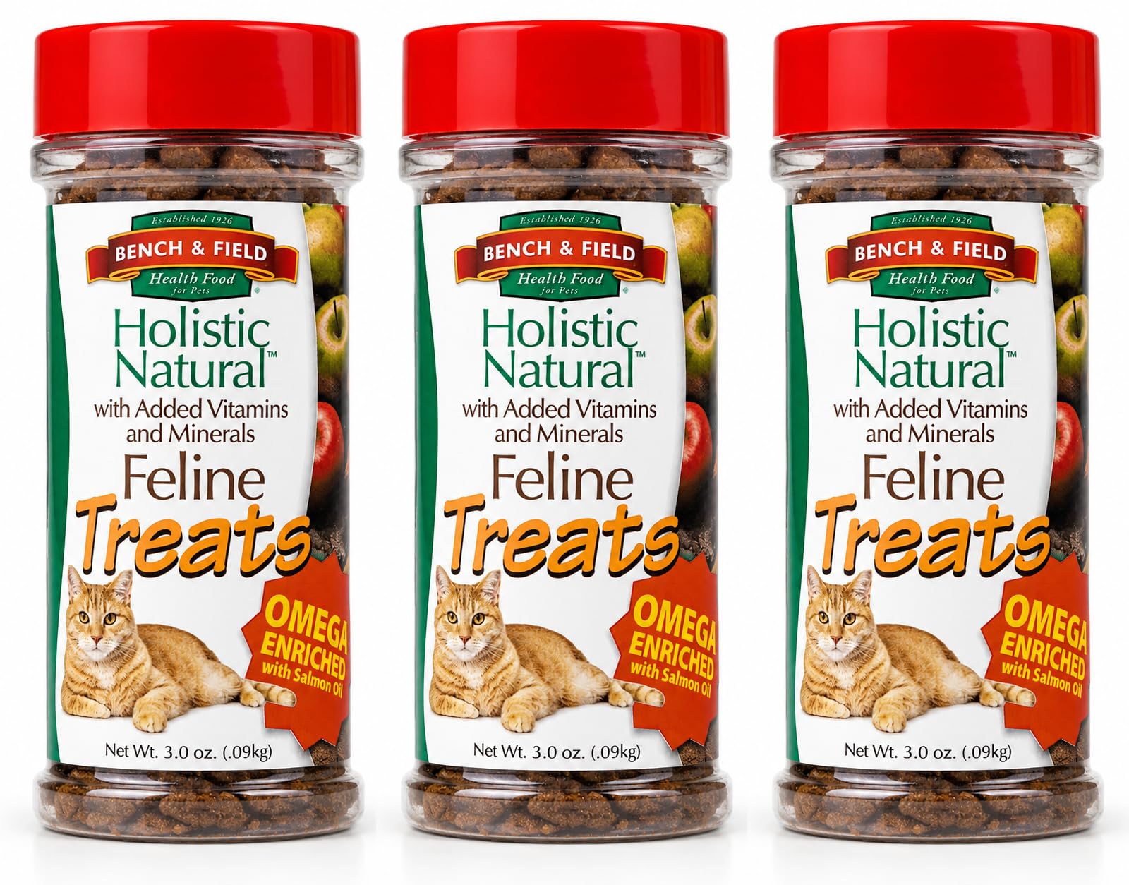 Bench & Field Holistic Natural Healthy Kitty Cat Treats | Crunchy Fish-Shaped Bites | Delicious Seafood Flavored Snack, 3-Ounce (Pack of 3 Bottles)