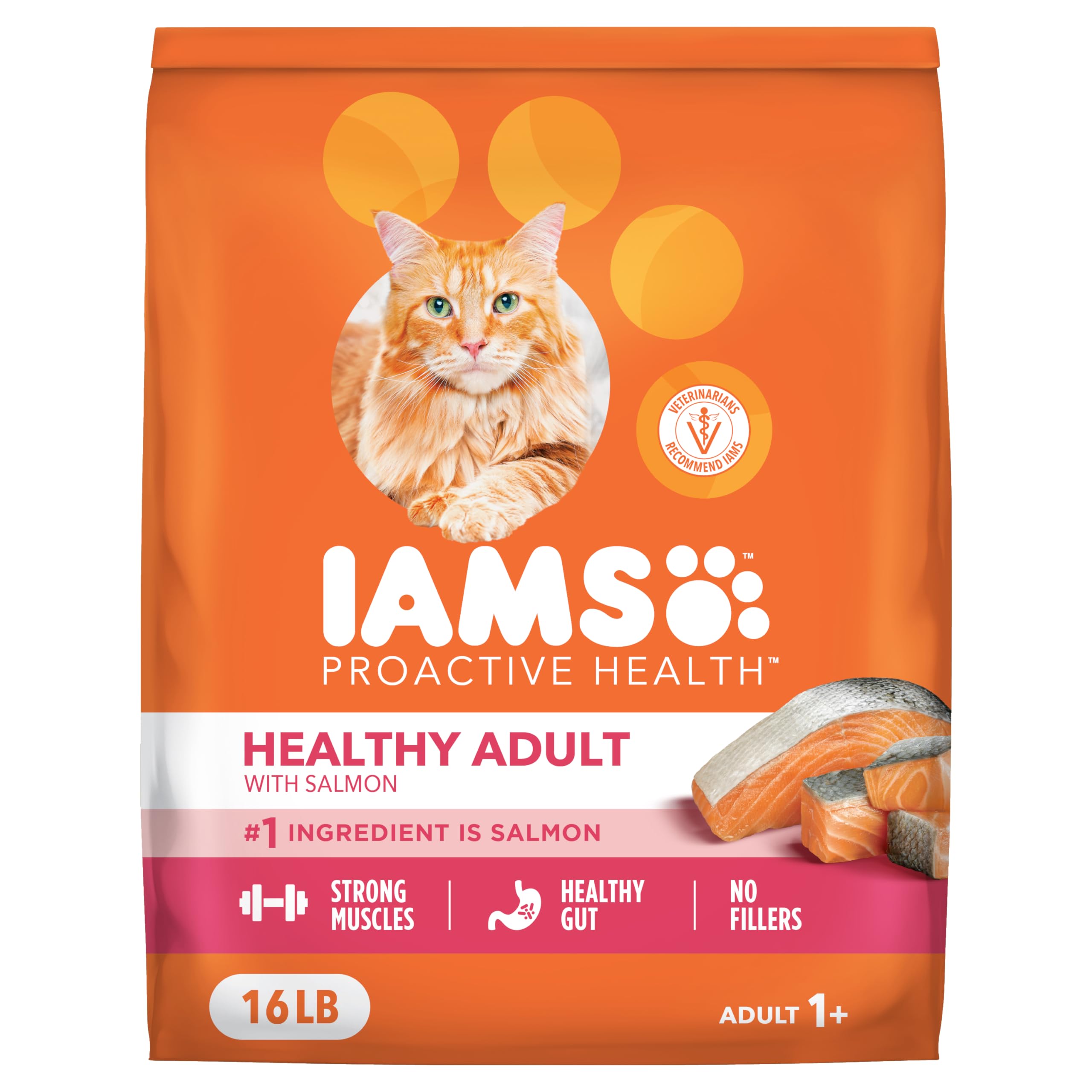 IAMS Proactive Health Dry Cat Food, Healthy Cat Food Dry Recipe for Adults, Salmon, 16 lb. Bag