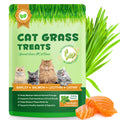 180g/6.4oz Cat Grass Treats for Hairball Control, Natural Teeth Cleaning & Fresh Breath, Crunchy Catnip Flavored Biscuits with Barley Grass, Cat Training Rewards for All Breeds