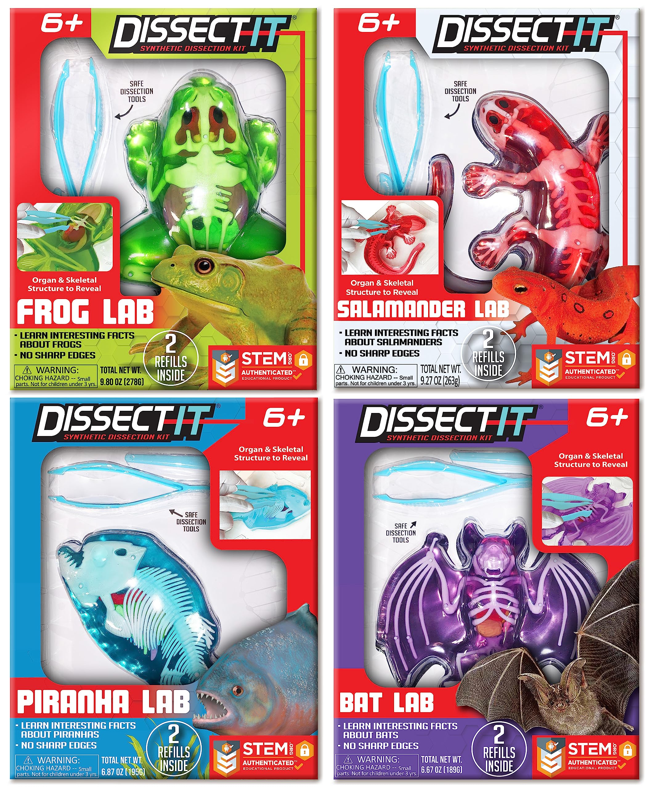 Dissect-It Kit for Kids, Synthetic Dissection Kids Science Kit to Learn Animal Science, Biology, STEM Toys for 6 Year Old and Above