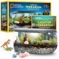National Geographic Light Up Dinosaur Terrarium Kit for Kids – Build a Dino Habitat with Real Plants & Gemstones, Night Light, Science Kit, Dinosaur Toys for Kids Ages 6 7 8 9 (Amazon Exclusive)